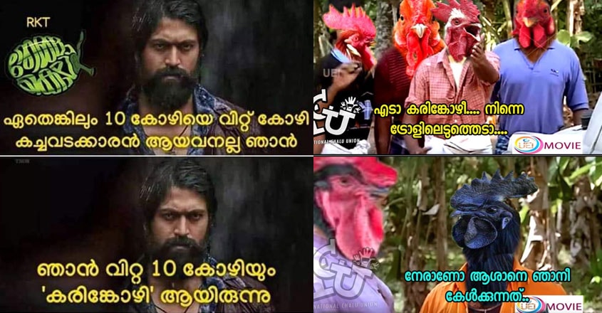 ചിറകുവിടർത്തി കരിങ്കോഴി; പിടിക്കാൻ ട്രോളന്മാർ  Social 